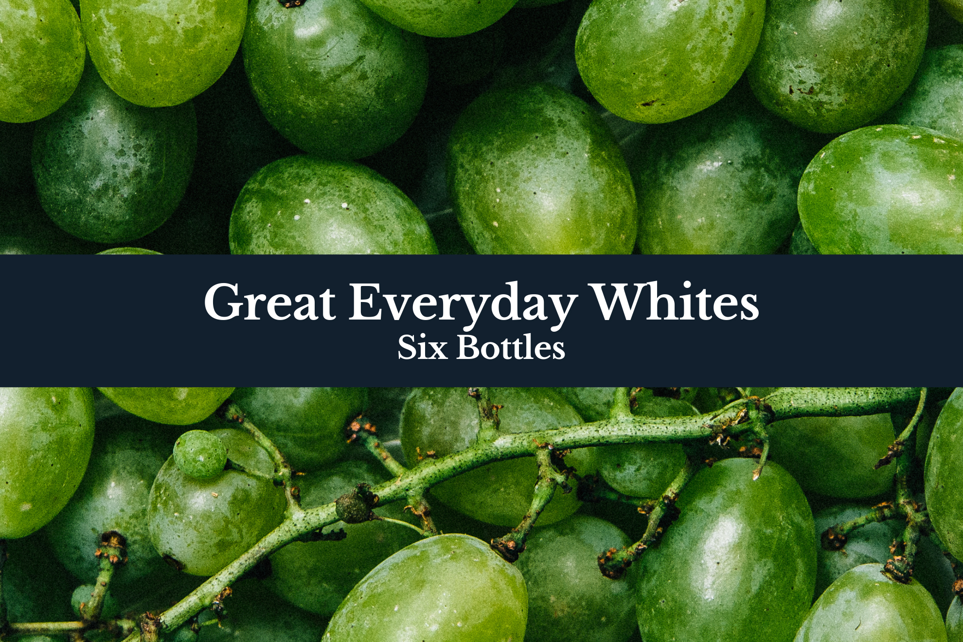 Great Everyday Whites 6