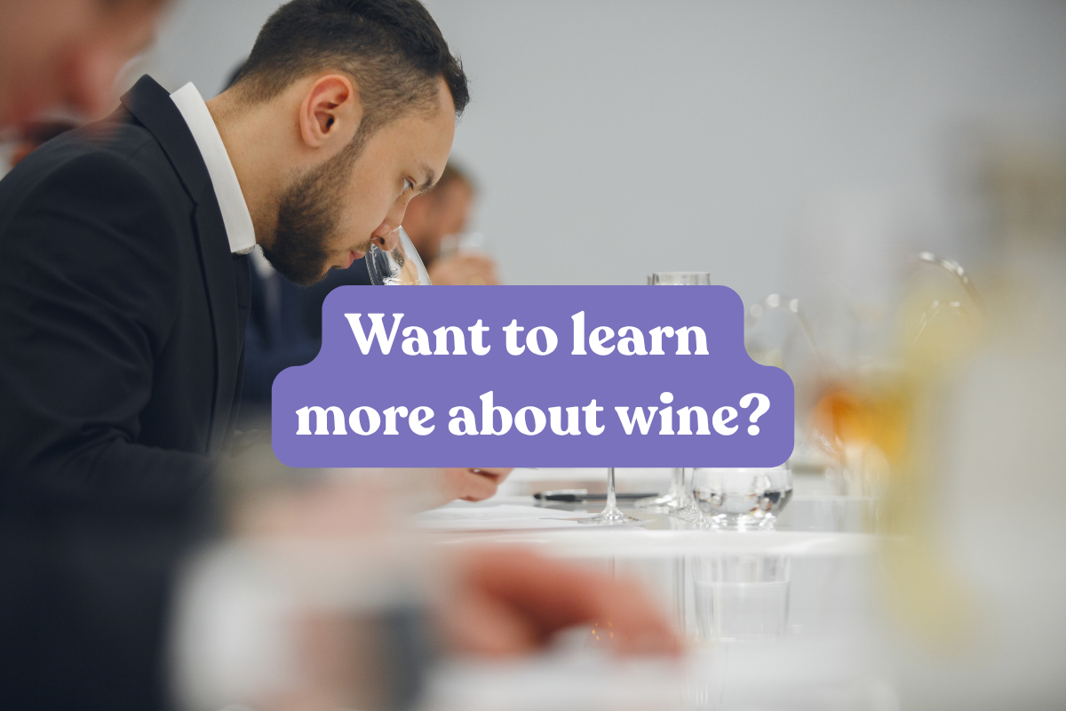 Want to Learn More About Wine?