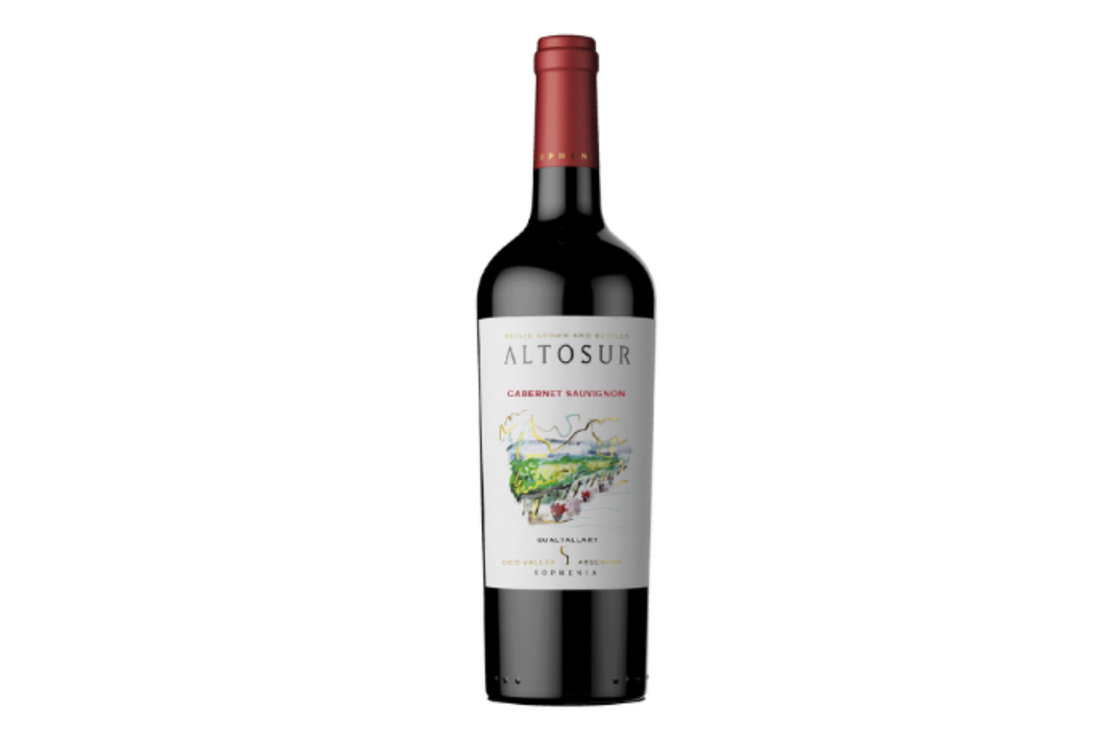 Altosur Cabernet Sauvignon Gualtallary 2023