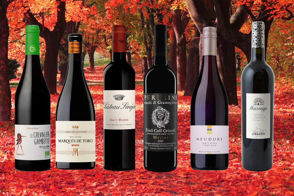 Autumnal Reds Box of 6