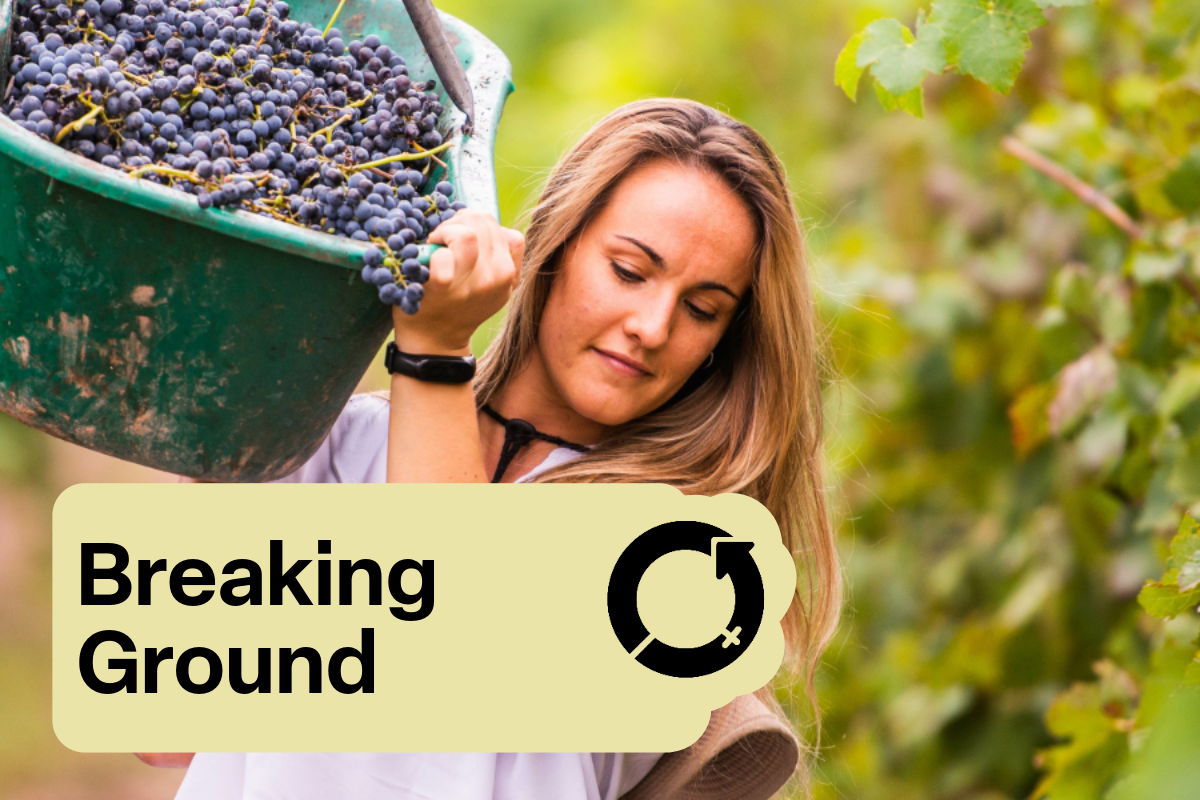 Breaking Ground Case - Six Bottles