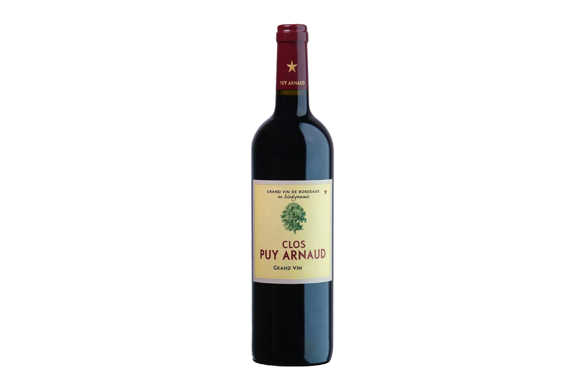 Clos Puy Arnaud Castillon - Cotes de Bordeaux 2019