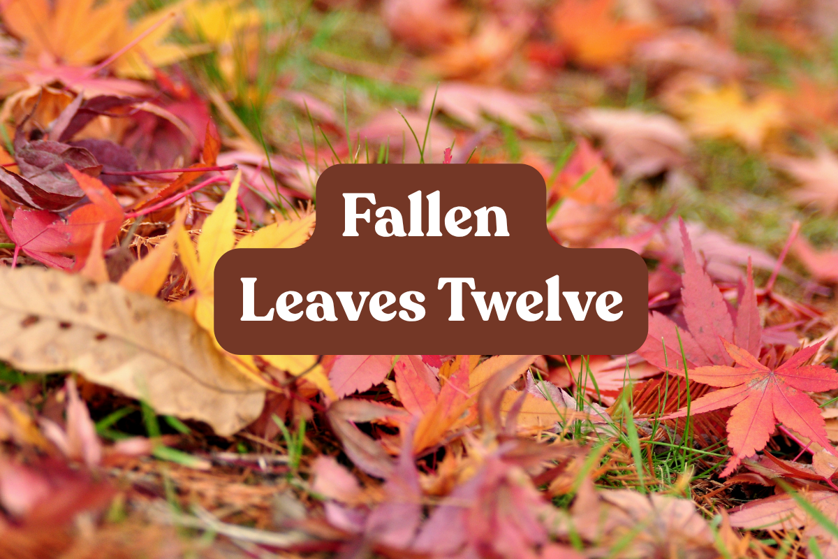 Fallen Leaves Twelve
