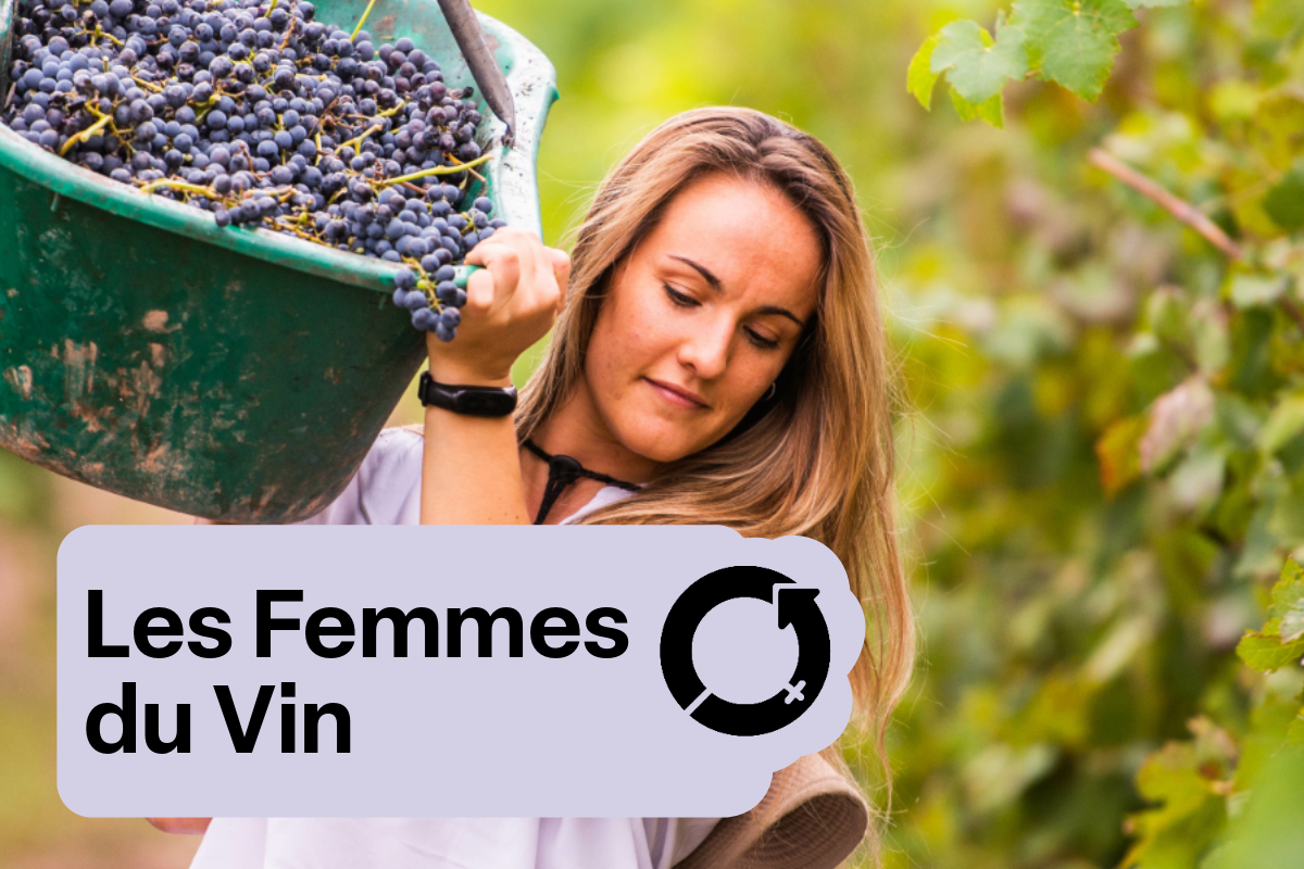 Les Femmes du Vin - Case of Six