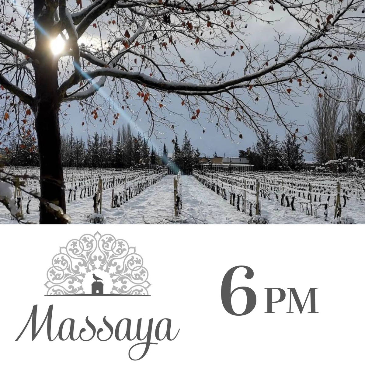 6:00-6:45pm: Meet the Winemaker in Store: Massaya with Sami Ghosn - Wednesday 17th April 2024