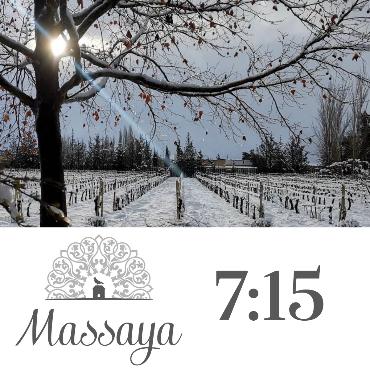 7:15-8:00pm: Meet the Winemaker in Store: Massaya with Sami Ghosn - Wednesday 17th April 2024