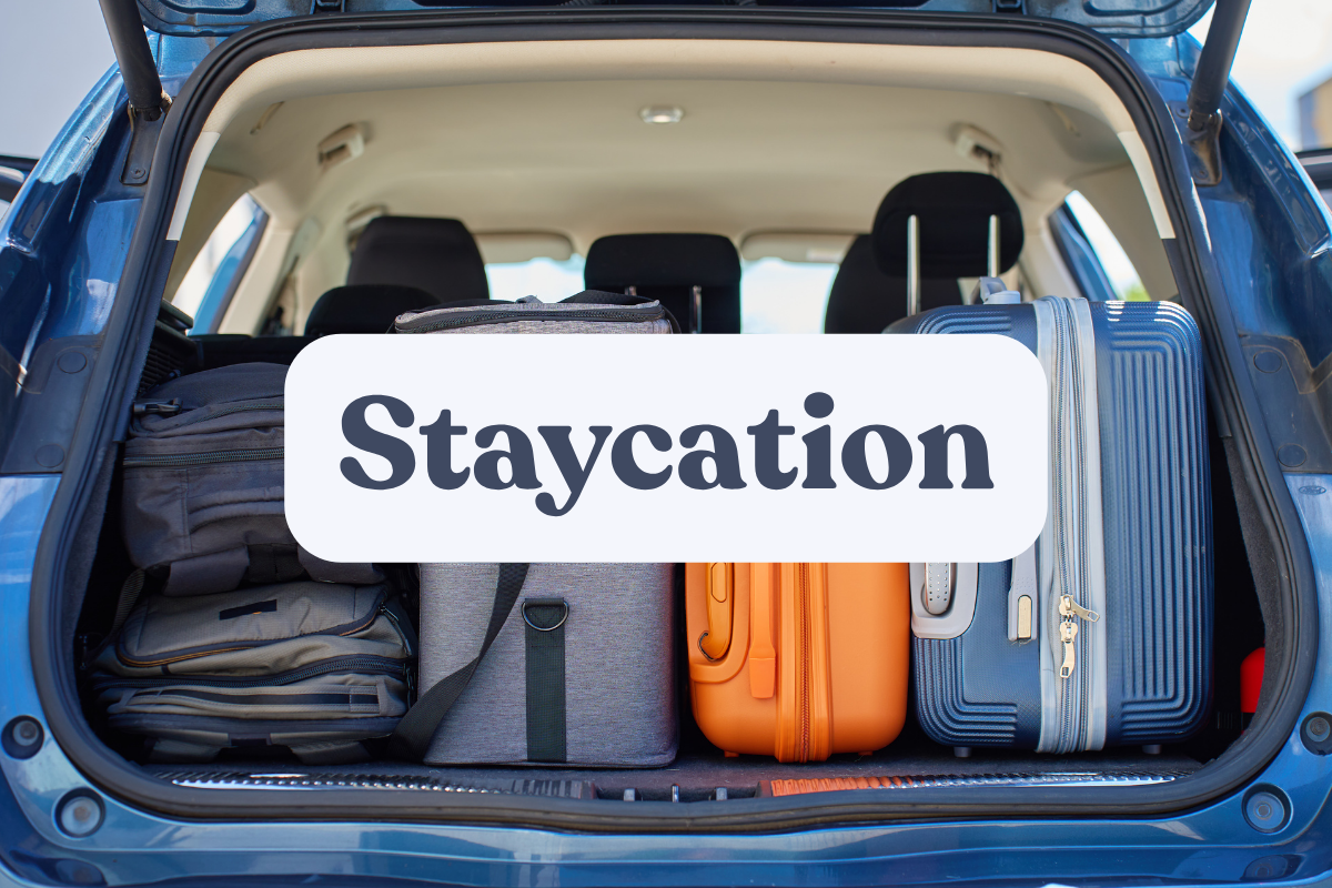 Staycation Mixed Twelve