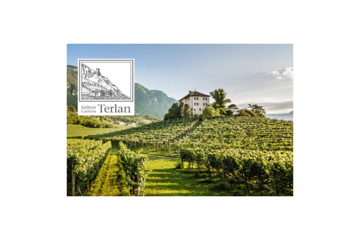 Meet the Winemaker: Cantina Terlano, Tuesday 17th September - 7pm