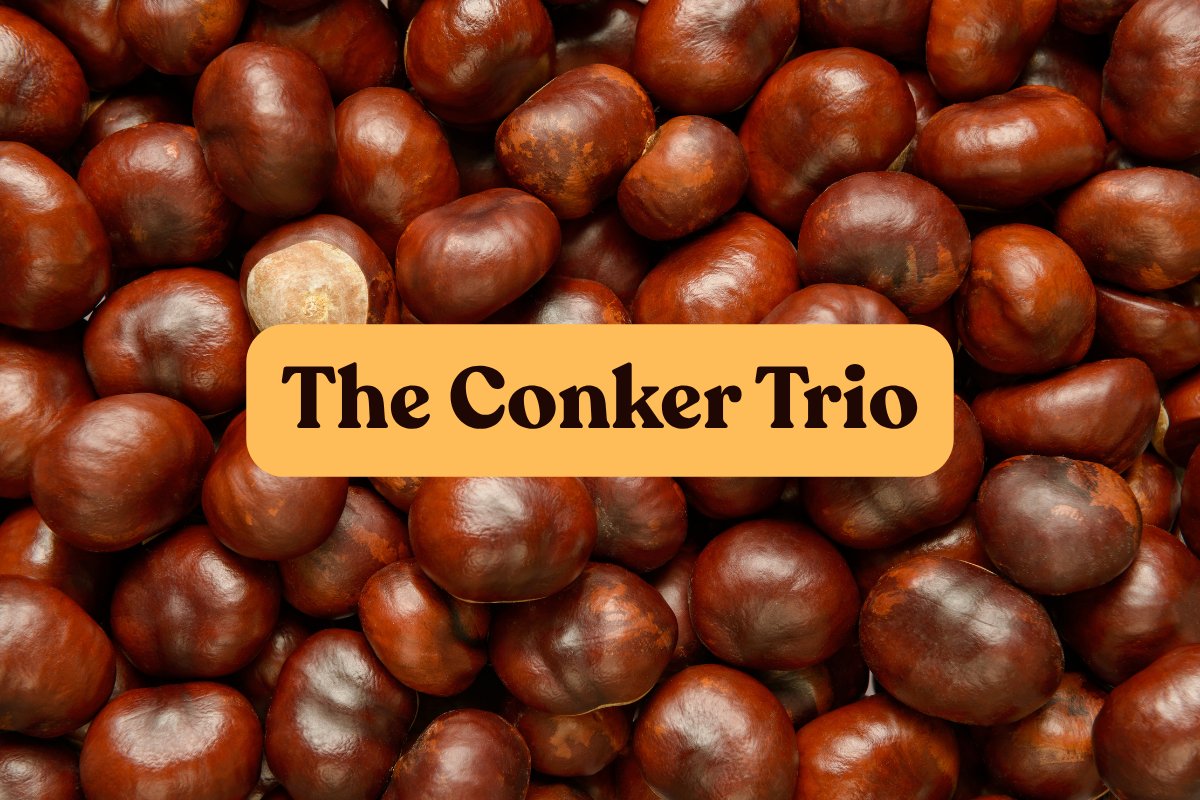 The Conker Trio