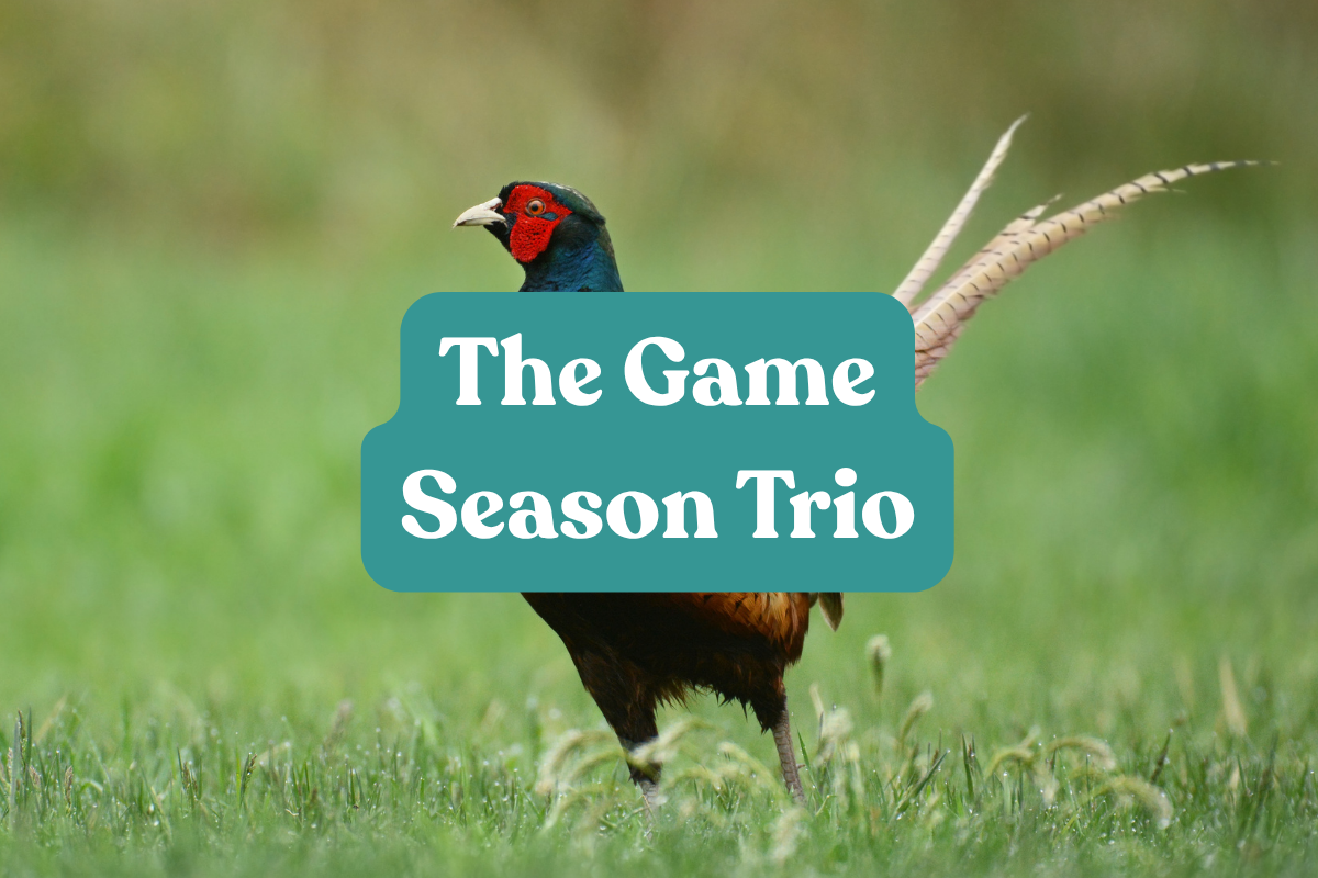 The Game Season Trio