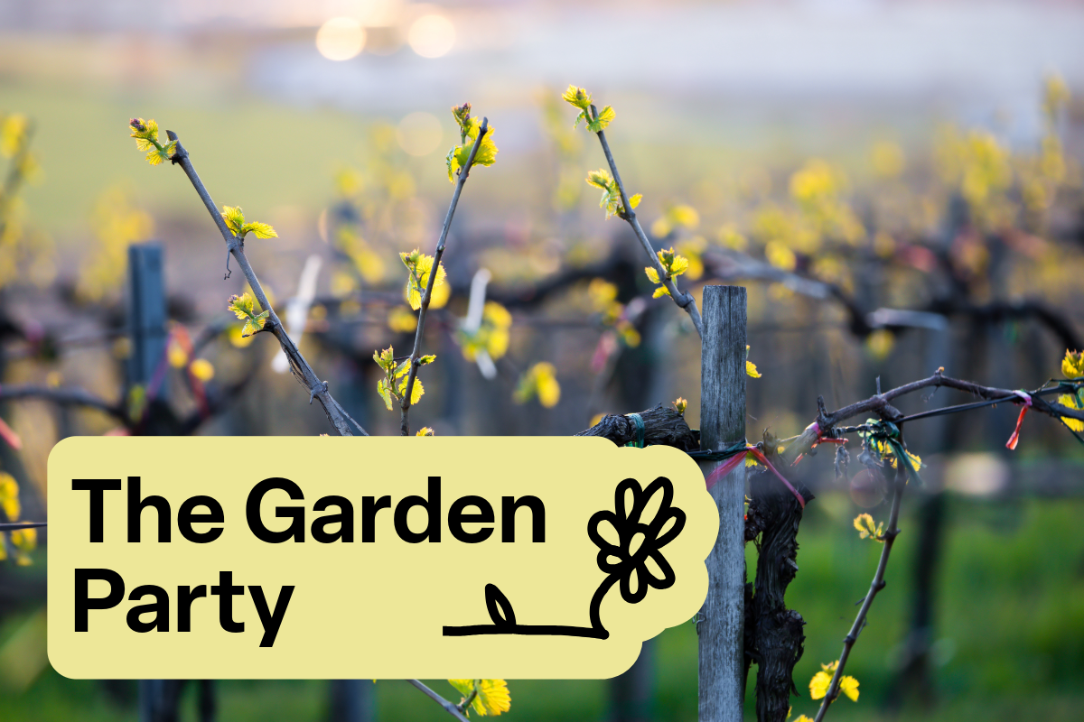 The Garden Party Case - Six Bottles