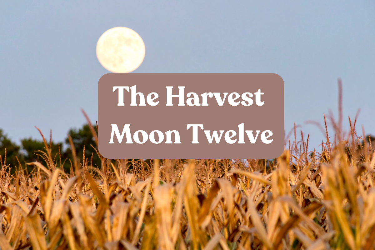 The Harvest Moon Twelve
