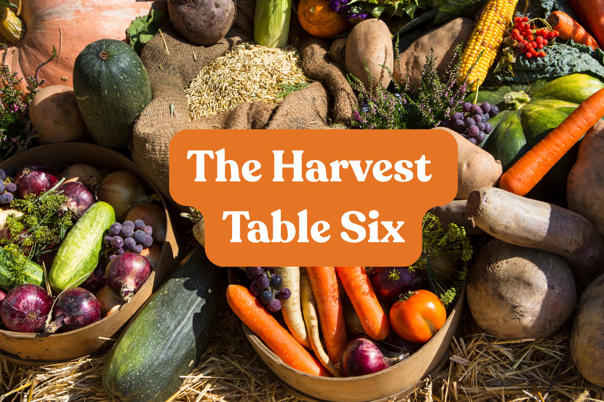 The Harvest Table Six