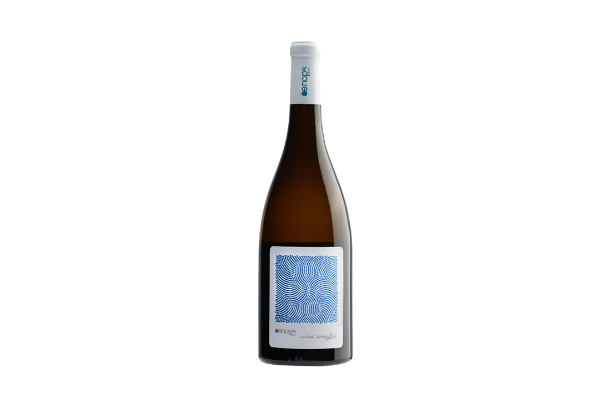 Oenops Vindiano 2024