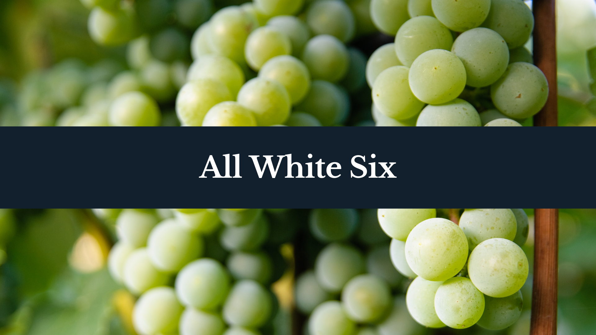 All White Six Wine Club Subscription