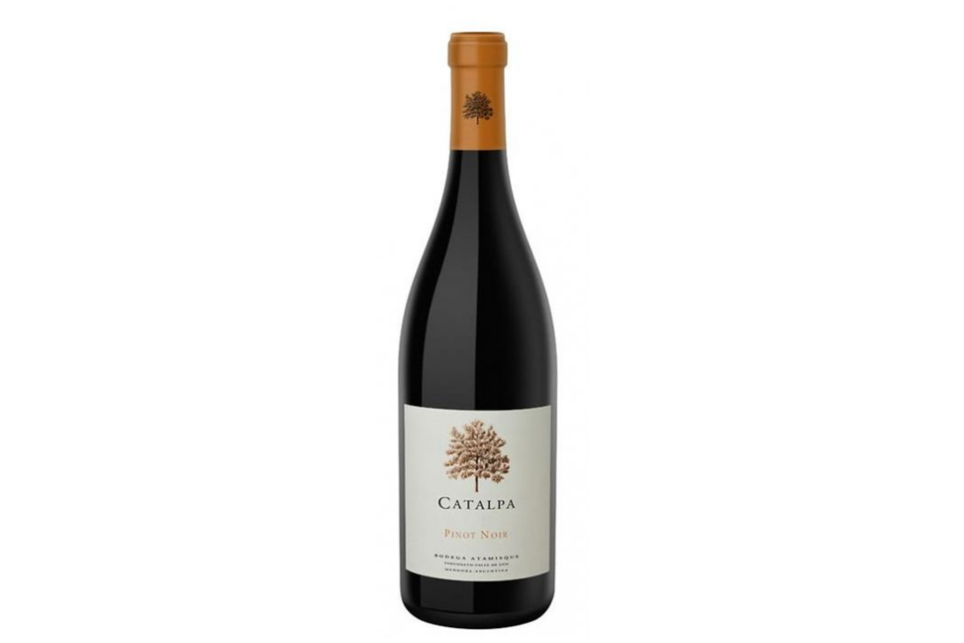 Bodega Atamisque Catalpa Pinot Noir Tupungato 2018