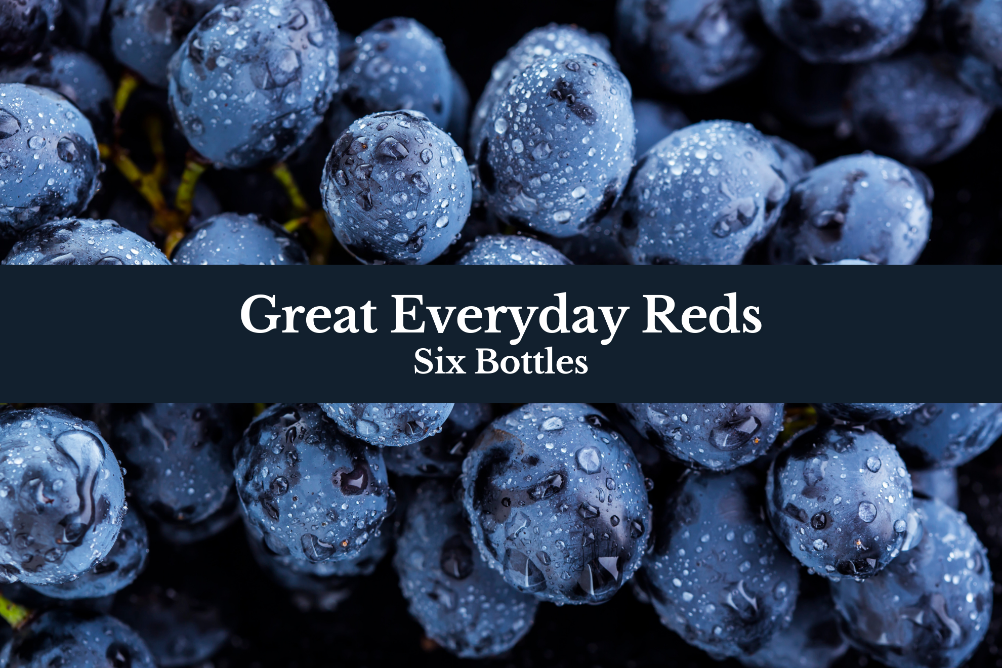 Great Everyday Reds 6