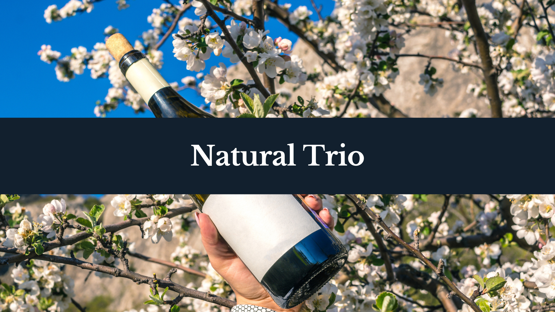 Natural Trio Wine Club Subscription