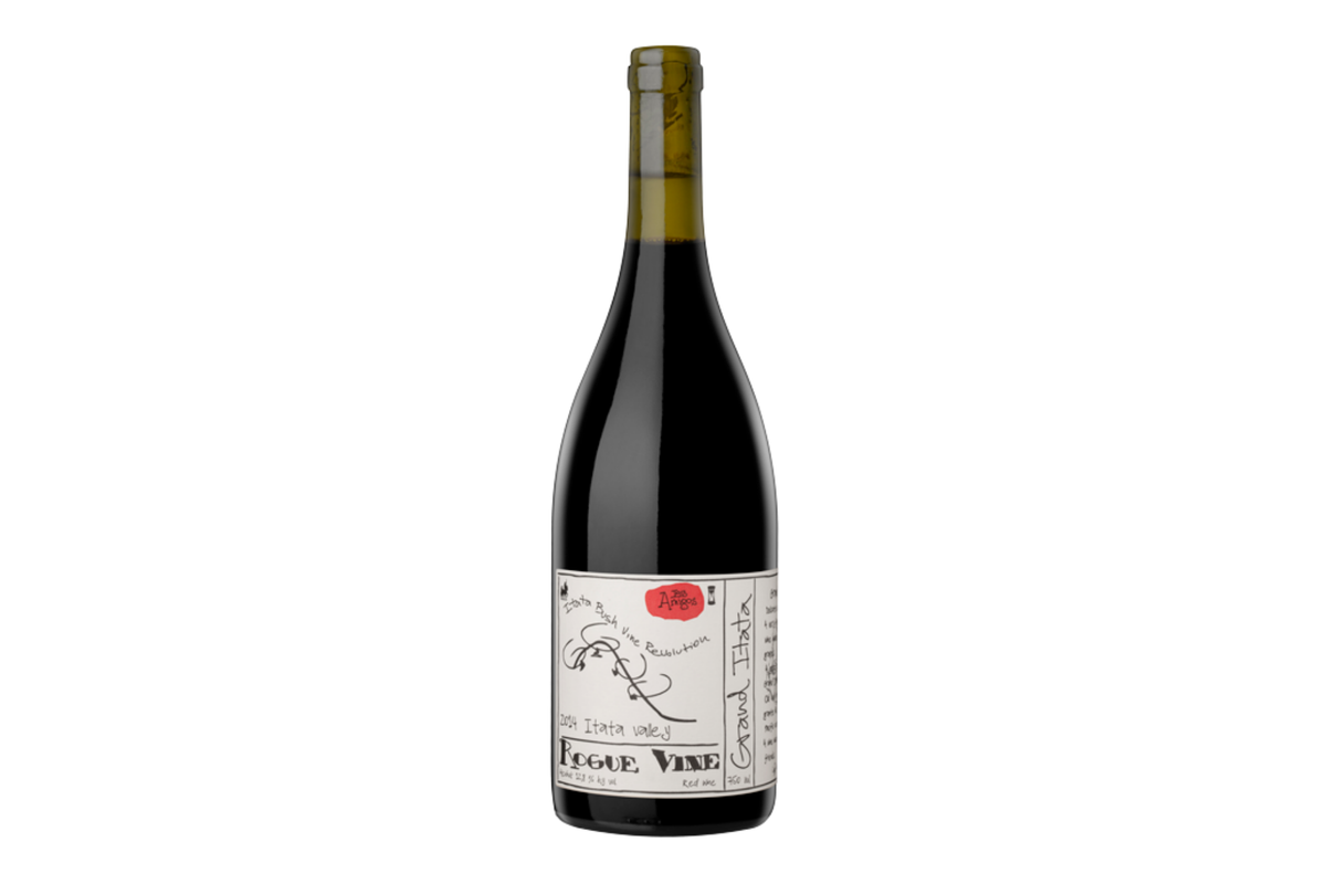 Rogue Vine Grand Itata Tinto 2021