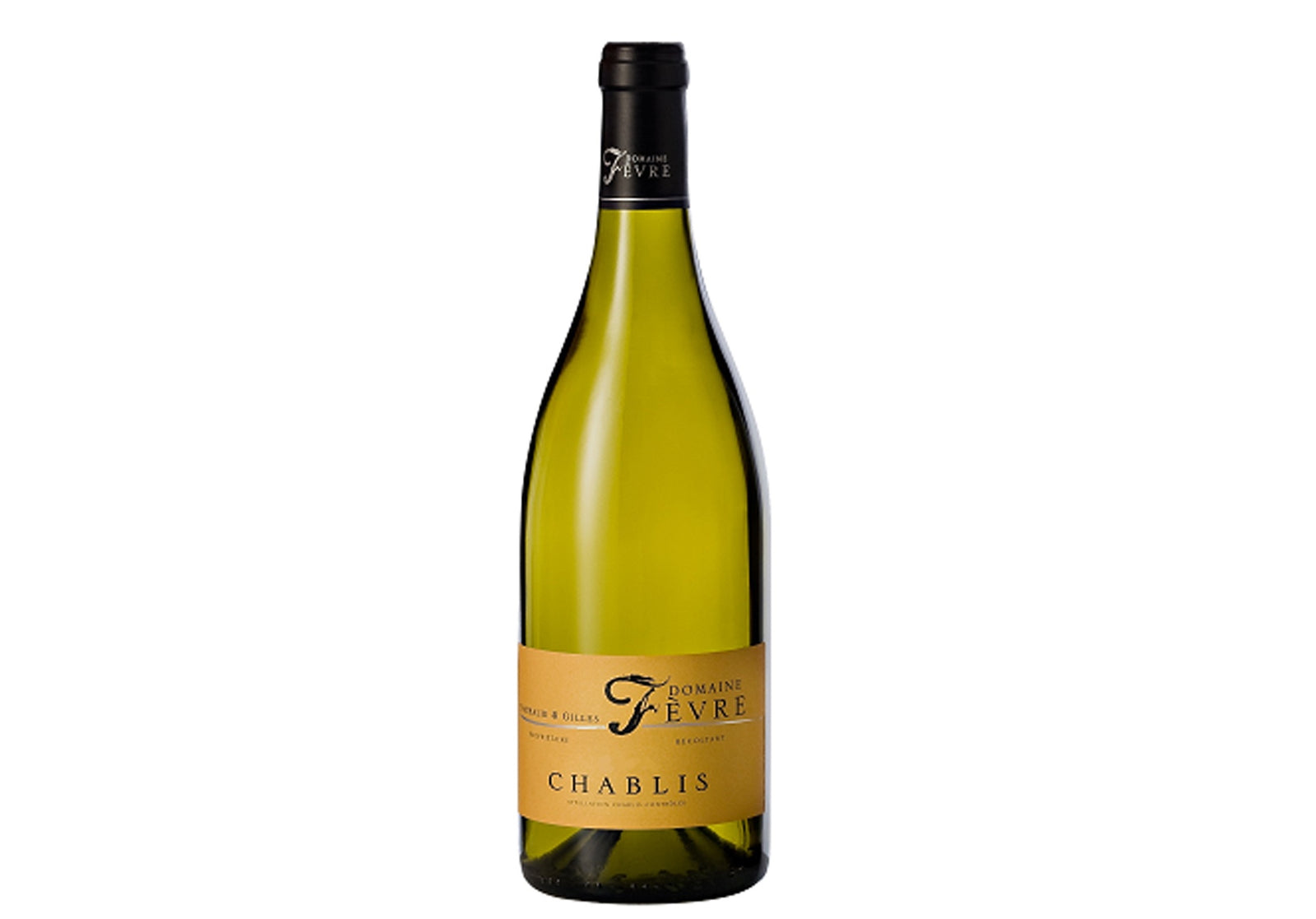 Domaine Nathalie et Gilles Fevre Chablis 2023 37.5cl